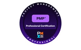Project Management Professional