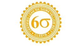 Lean Six Sigma Yellow Belt