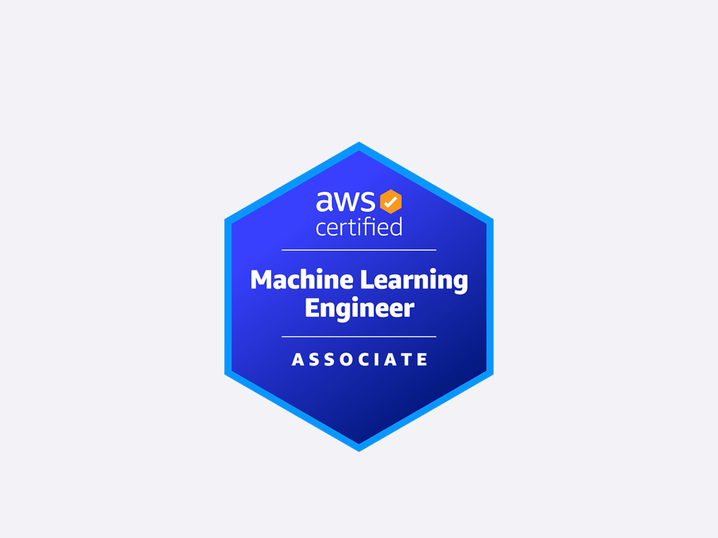 AWS Certified Machine Learning - Specialty