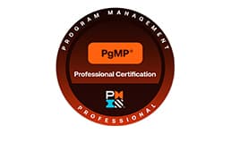 Program Management Professional