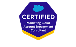 Salesforce Certified Marketing Cloud Account Engagement Cons