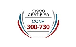 SVPN: Implementing Secure Solutions with Virtual Private Net