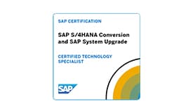 SAP S/4 HANA Conversion and SAP System Upgrade